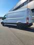 Ford Transit Variobus 2,0 EcoBlue L3H2 350 Trend Weiß - thumbnail 7