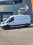 Ford Transit Variobus 2,0 EcoBlue L3H2 350 Trend Weiß - thumbnail 2