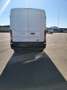 Ford Transit Variobus 2,0 EcoBlue L3H2 350 Trend Weiß - thumbnail 8