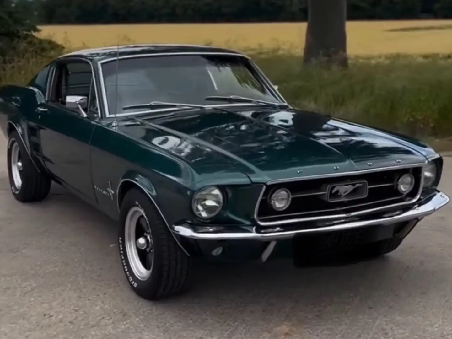 Ford Mustang 302 FASTBACK HIGHLAND GREEN!!!! Groen - 2