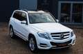 Mercedes-Benz GLK 350 7-G NAVI KEYLES KAMERA PANORAMA Blanco - thumbnail 4