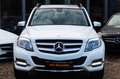 Mercedes-Benz GLK 350 7-G NAVI KEYLES KAMERA PANORAMA Blanco - thumbnail 2