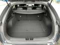 Kia ProCeed / pro_cee'd Proceed 1.5 T-GDI GT-Line Ultimate ADA+Winterpak - thumbnail 10