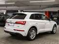 Audi Q5 40 TDI S line qu. AHK SHZ Privacy VirtCo plus Weiß - thumbnail 6