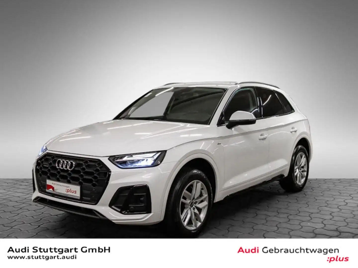 Audi Q5 40 TDI S line qu. AHK SHZ Privacy VirtCo plus Weiß - 1