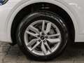 Audi Q5 40 TDI S line qu. AHK SHZ Privacy VirtCo plus Weiß - thumbnail 11