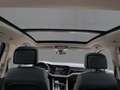 Volkswagen Touareg TSI eHYBRID 5JG+MATRIX+NAVI+AIR+AHK+PANO Grau - thumbnail 15