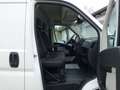 Peugeot Boxer 2,2 Kasten L2H2, EU5, Klimaaut., WRäder !! Weiß - thumbnail 11