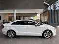 Audi A3 2.0 TDI Lim. sport quattro Bi-Xenon Navi PDC SHZ Blanc - thumbnail 4