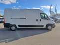 Fiat Ducato FURGONE 35 PL TA 2.3 MJT 140 CV EURO 6 Blanc - thumbnail 6