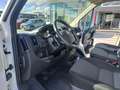 Fiat Ducato FURGONE 35 PL TA 2.3 MJT 140 CV EURO 6 Blanc - thumbnail 11