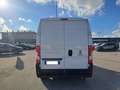 Fiat Ducato FURGONE 35 PL TA 2.3 MJT 140 CV EURO 6 Blanc - thumbnail 5
