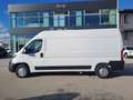 Fiat Ducato FURGONE 35 PL TA 2.3 MJT 140 CV EURO 6 Blanc - thumbnail 3
