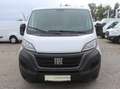 Fiat Ducato L1H1 Kasten/€ 16.500,-netto/KAMERA TEMP KLIMA Weiß - thumbnail 2
