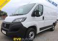 Fiat Ducato L1H1 Kasten/€ 16.500,-netto/KAMERA TEMP KLIMA Weiß - thumbnail 1