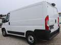 Fiat Ducato L1H1 Kasten/€ 16.500,-netto/KAMERA TEMP KLIMA Weiß - thumbnail 6