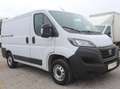 Fiat Ducato L1H1 Kasten/€ 16.500,-netto/KAMERA TEMP KLIMA Weiß - thumbnail 3