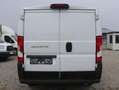 Fiat Ducato L1H1 Kasten/€ 16.500,-netto/KAMERA TEMP KLIMA Weiß - thumbnail 5
