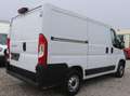 Fiat Ducato L1H1 Kasten/€ 16.500,-netto/KAMERA TEMP KLIMA Weiß - thumbnail 4