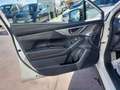 Subaru XV 2.0i Hybrid Executive Plus CVT Blanco - thumbnail 27