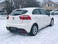 Kia Rio Rio 1.1 CRDi 75 ISG Style Blanc - thumbnail 7