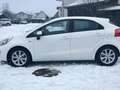 Kia Rio Rio 1.1 CRDi 75 ISG Style Blanc - thumbnail 4