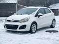 Kia Rio Rio 1.1 CRDi 75 ISG Style Blanc - thumbnail 3