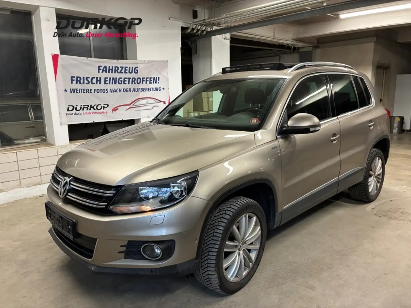 Volkswagen Tiguan 2.0 TDI 4Motion DSG Life AHK Panoramadach NAVI Beige - 1