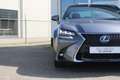 Lexus GS 300 300h Hybrid F-Sport Premium I NL-auto I Mark Lev. Gris - thumbnail 31