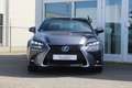 Lexus GS 300 300h Hybrid F-Sport Premium I NL-auto I Mark Lev. Gris - thumbnail 3
