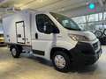 Fiat Ducato 2,3 Kühlkoffer Thermoking V300 Max -30C. Weiß - thumbnail 1