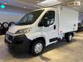 Fiat Ducato 2,3 Kühlkoffer Thermoking V300 Max -30C. Weiß - thumbnail 2