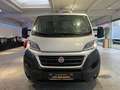 Fiat Ducato 2,3 Kühlkoffer Thermoking V300 Max -30C. Weiß - thumbnail 3