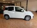 Fiat Panda Panda 1.3 mjt 16v Easy s Blanc - thumbnail 5