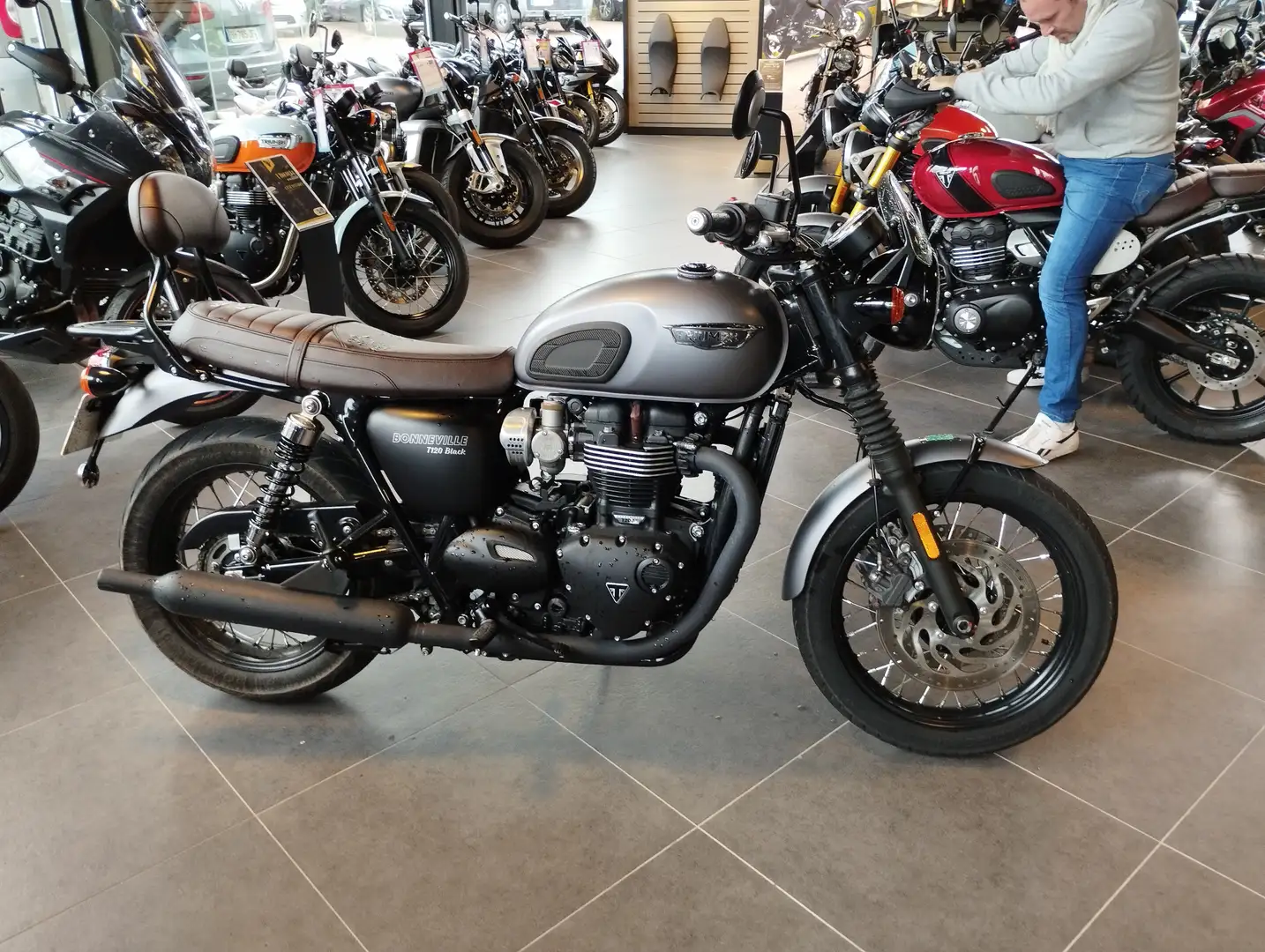 Triumph Bonneville T120 Grau - 1