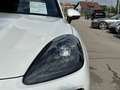 Porsche Cayenne Coupe Aut. 22 ZOLL, PANO! Blanc - thumbnail 6