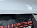 Porsche Cayenne Coupe Aut. 22 ZOLL, PANO! Blanc - thumbnail 16