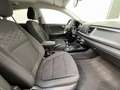 Kia Rio 1.2 Dream-Team Edition Brun - thumbnail 6