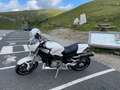 Ducati Monster S2R perl weiss Blanco - thumbnail 6