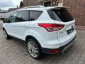 Ford Kuga Titanium*TOP*GARANTIE Weiß - thumbnail 5