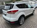 Ford Kuga Titanium*TOP*GARANTIE Weiß - thumbnail 4
