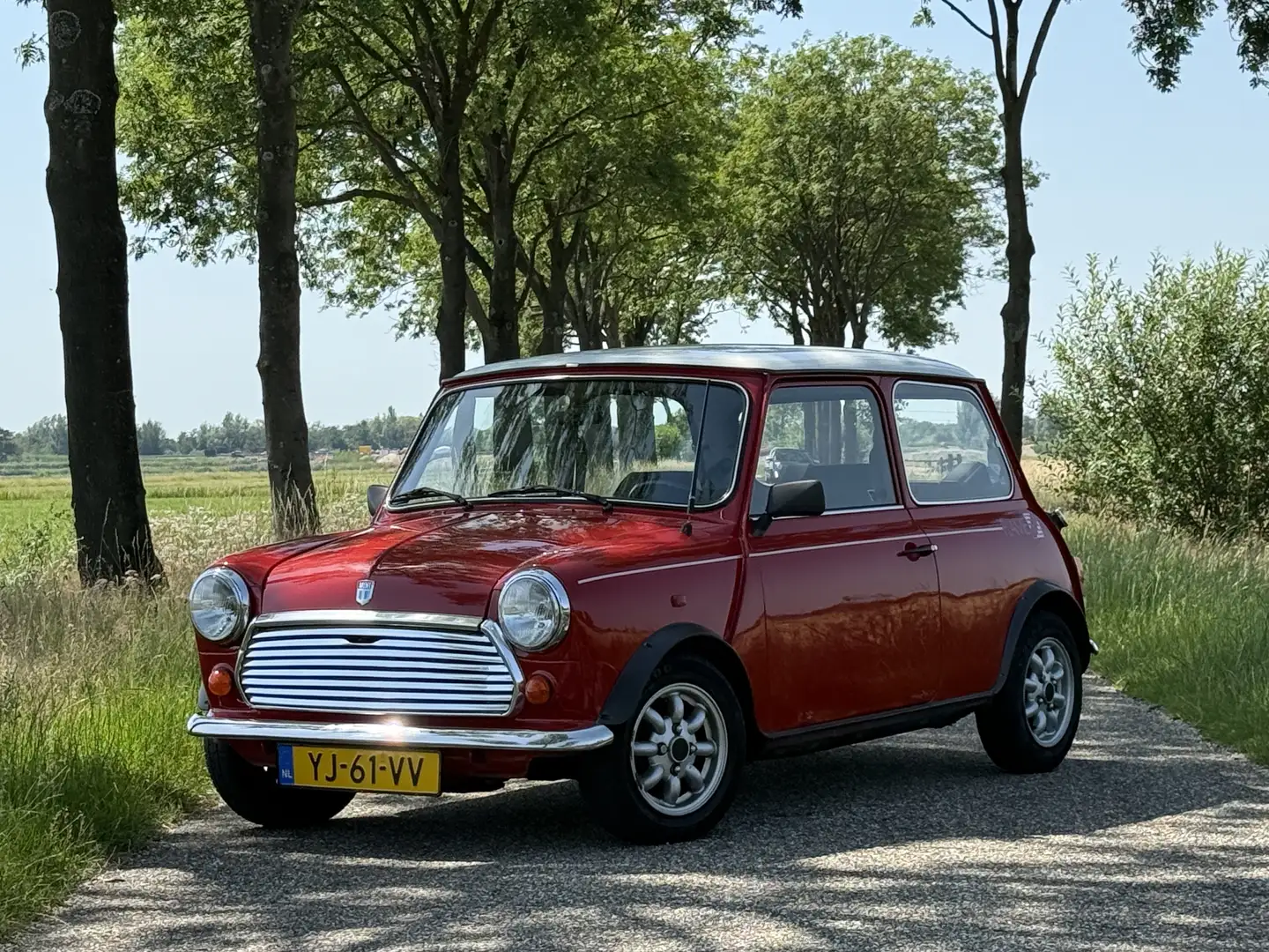 MINI 1000 Flame Red Origineel NL Rot - 1