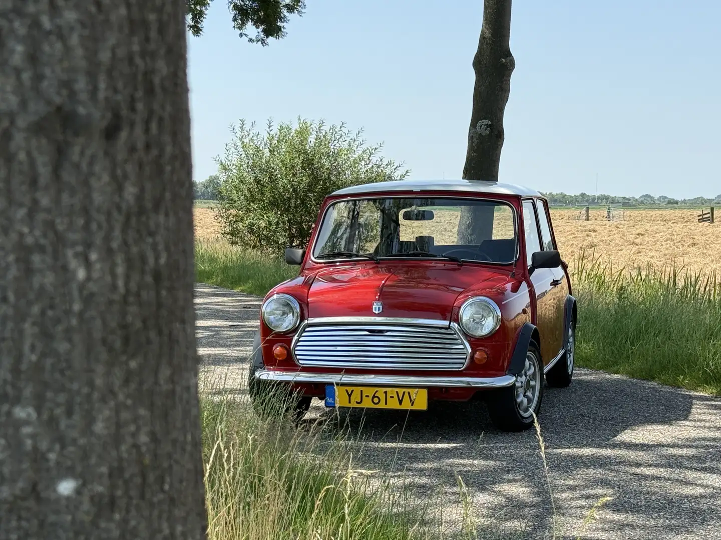 MINI 1000 Flame Red Origineel NL Rot - 2