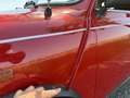 MINI 1000 Flame Red Origineel NL Rot - thumbnail 15