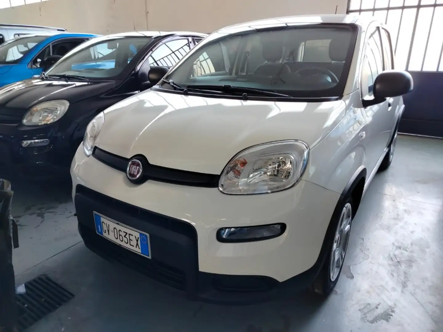 Fiat Panda 1.0 FireFly S&S Hybrid km 2.000 Bianco - 2