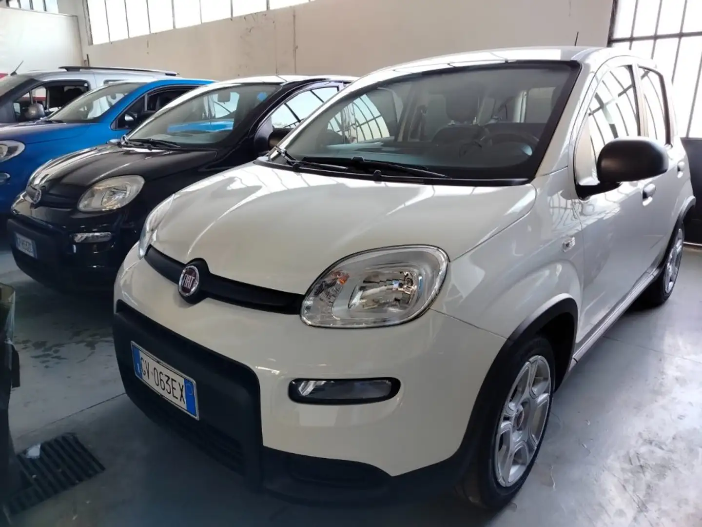 Fiat Panda 1.0 FireFly S&S Hybrid km 2.000 Bianco - 1