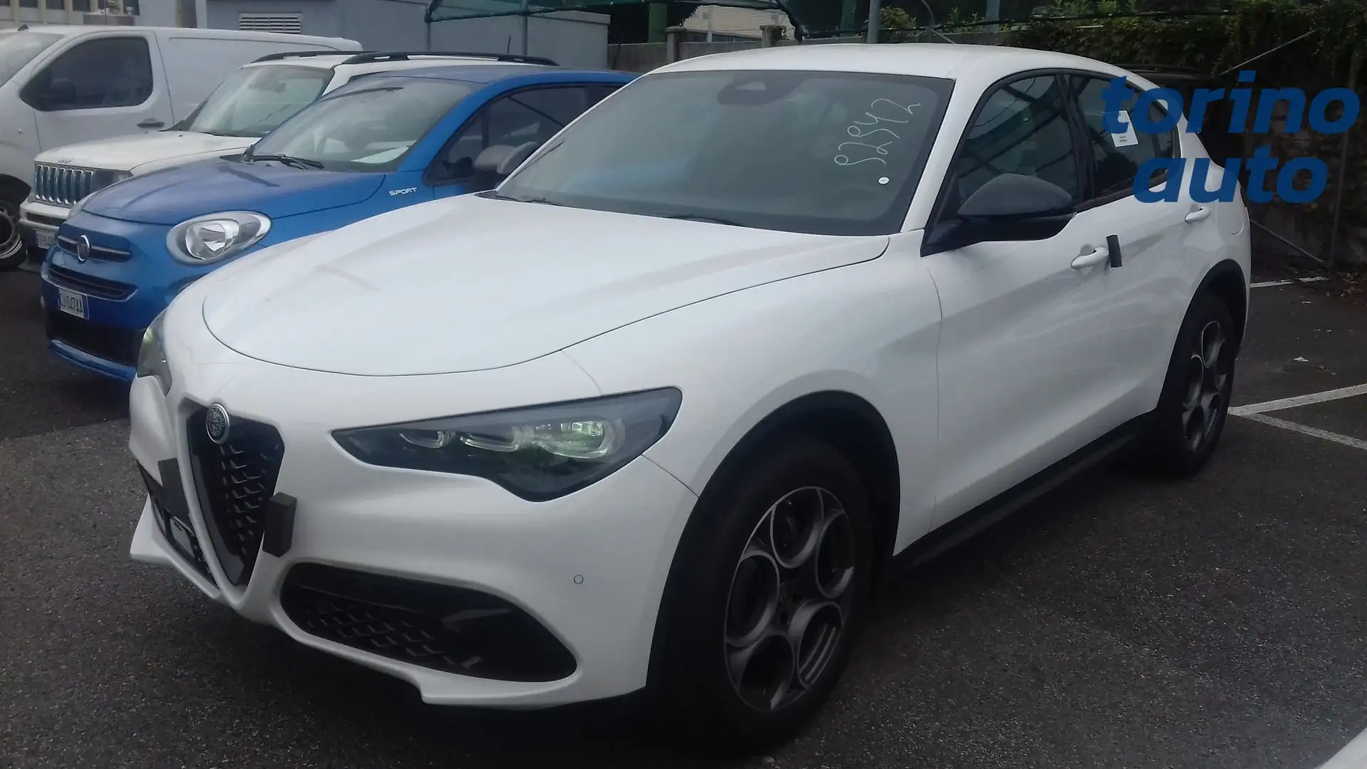 Alfa Romeo Sprint STELVIO Sprint N1 autocarro 5 posti 2.2TurboDiesel 160cv RWD Weiß - 2