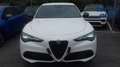 Alfa Romeo Sprint STELVIO Sprint N1 autocarro 5 posti 2.2TurboDiesel 160cv RWD Weiß - thumbnail 5