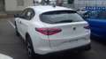 Alfa Romeo Sprint STELVIO Sprint N1 autocarro 5 posti 2.2TurboDiesel 160cv RWD Weiß - thumbnail 4