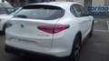 Alfa Romeo Sprint STELVIO Sprint N1 autocarro 5 posti 2.2TurboDiesel 160cv RWD Weiß - thumbnail 3